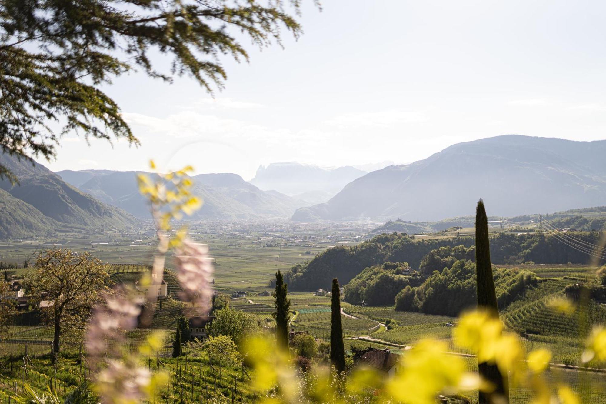 Schloss Hotel Korb Appiano Sulla Strada Del Vino Εξωτερικό φωτογραφία
